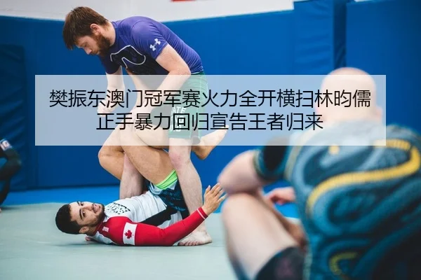 樊振东澳门冠军赛火力全开横扫林昀儒 正手暴力回归宣告王者归来